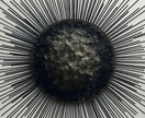 あなたの恋愛を占います 真実の鏡(shinjitunokagami) イメージ3