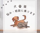 ペット薬膳管理士が相談に乗ります 犬猫さんの体質診断、食事相談、ただ悩み聞いて欲しい！も歓迎。 イメージ3