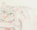 ペットちゃん似顔絵＊ふんわりやさしく描きます あなたのこころの陽だまりのような、そんな想いを大切に イメージ3