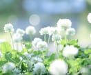 総合★遠隔サトルヒーリングであなたを整えます 本来のあなたらしさを発揮して羽ばたいていきたい方へ。 イメージ1