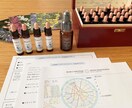 占星術と自然療法であなたの心に安心を届けます プロのハーバルアストロロジーアドバイザーによるセッション イメージ3