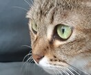 ちょこっと１分からでもOK！ご相談できます お悩み、世間話、恋愛話あいた時間でお話しましょう。 イメージ8