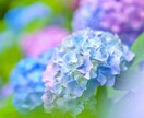 気楽になんでも◎心にしまっているお話お聞きします 男性限定。誰にも言えないでも言いたい。気持ちを軽くしませんか イメージ4