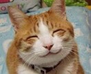 あなたの恋愛相談なんでものります。 イメージ1