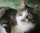 うつの辛さに寄り添います うつ病で2年間精神科を受診した私と辛い気持ちを共有しましょう イメージ3