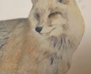 動物や人物、風景などのパステル画で描きます 写真を元に自分なりの色合いで、写実的にパステルで描きます！ イメージ4