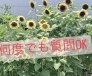 スマホ１つと行動のみでできます ㊙️実践者が歩ん実践型ロードマップ イメージ3