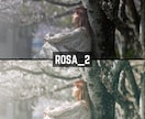 ROSA｜Lightroomプリセット販売します スマホで撮影した写真、ワンタッチで大変身！ イメージ5