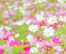 あなたの心のお悩みに寄り添います あなたが人生の主役です。明るい未来を一緒に見てみませんか？ イメージ2