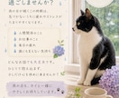 頑張りすぎて疲れたあなたのお話をお聞きします 頑張りすぎていませんか？安心してお話しください イメージ1