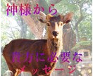 神降ろしの巫女が貴方に必要な神様の神託を授けます 神は貴方の生き方を見ています　どのような神託かは貴方次第です イメージ4