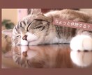 チャットであなたの心を癒します 精神科ナースとお話したい方！悩み相談/話し相手/恋愛も♡ イメージ2
