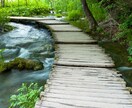 自己理解と心の整理｜じぶんらしさを一緒に探します 自己受容と行動力で、本当に満たされるじぶんになろう！ イメージ4