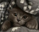 ペットのリアルな似顔絵を描きます iPadでリアルなデジタル絵を提供します。 イメージ1