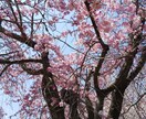 風景写真提供します 出掛けた先で撮影した写真を提供します。 イメージ1