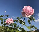 仕事、介護、プライベートなど愚痴や相談のります どんな悩みでも1人で抱え込まず、お気軽にご相談ください。 イメージ1