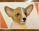 短時間で犬、うさぎをリアルに描く方法を教えます オンラインレッスン！似顔絵師で副収入！忙しいママさんでも上達 イメージ4