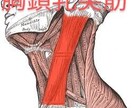 オンライン：ダイエットは【姿勢】で一段階変わります 認定理学療法士が【身体の不均衡】を医療知識で解消します！ イメージ5