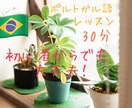 初心者okオンラインでポルトガル語の会話をします ネイティブと、ブラジルポルトガル語で楽しく会話しませんか？ イメージ1