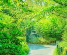 ただ話したい人へ❀優しくそっと寄り添います 1分でも✨否定せず、あなたの気が晴れるまでお聞きします❀ イメージ1