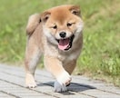 相手の考えが読めない！人間関係の悩み解消します 相手の考えを読み取り、性格に合わせたアプローチを提案します！ イメージ1