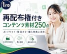 再配布権付きコンテンツ素材250点を提供します AIリライト・発信ネタ・購入特典に活用できる資料集 イメージ1