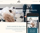 Shopifyの専門家がカスタマイズいたします Shopifyでお困りのことについて改善策をご提案致します イメージ10