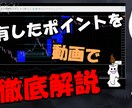 裁量バイナリー【完全オリジナル知識】を提供します ※　この価格で、この内容で、この知識は、まず無いと思います！ イメージ2