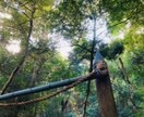占星術であなたの本質を読みます 悩みに寄り添いながら、本質に合った行動などをお伝えします イメージ9