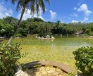 宮古島旅行のプラン考えます 結婚式を挙げるほど宮古島を愛する私が、旅行プランを作成します イメージ7