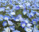 お話しませんか？そのままのあなたを受け止めます 楽しいひとときを一緒に過ごしましょう。 イメージ3