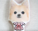 ペット（犬　猫）の画像でウェルカムドールを作ります 結婚式に大切なうちの子（愛猫、愛犬等）と一緒に参加しませんか イメージ6