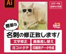 簡単な名刺の修正致します Aiデータをお持ちの方の、名刺のデータ修正サービスです イメージ1