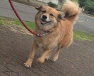 愚痴ききます 話して少しでもすっきりしていただけたらと思います。 イメージ1