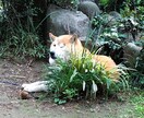 シンママの為のキャリアや不安に寄り添います リスタートした同じシンママの力になりたいと思っています！ イメージ2