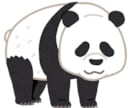 中国語/日本語を翻訳します 中国語ネイティブの日本人があなたの文章を翻訳します！ イメージ1
