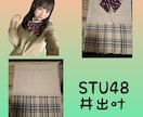 タレント、推しへお渡しするアルバムの衣装作製します 生誕祭などでお渡しするアルバム表紙と裏表紙の衣装作製します イメージ9