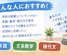 実績作り】英作文の添削をします 1エッセイ(200語以内)or1文の英作文5問 イメージ9