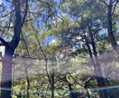 整える呼吸法とセルフヒーリング方法を伝授します 呼吸と意識で内なる光を目覚めさせる イメージ2