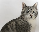 リアルな色鉛筆画を描きます あなたの好きなものをありのまま絵にして飾ろう イメージ1