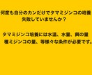 タマミジンコ培養方法教えます もう購入するのは餌だけ！培養失敗を助けます！！ イメージ2