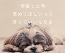 女性限定♡寝る前に話したくなる声で寄り添います こころ安眠ダイアル♡眠れない日々を送っているあなたへ イメージ5