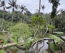 あなただけの旅行プランを考案します 東南アジアを含め２０カ国旅をした経験から旅のプランをサポート イメージ2