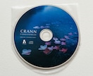 CDジャケット・歌詞カード・盤面デザインいたします 楽曲の世界観が伝わるCDデザインを一式デザイン制作します！ イメージ5