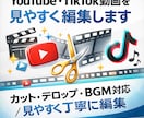 YouTubeTikTok動画を見やすく編集します カット・テロップ・BGM対応/見やすく丁寧に編集 イメージ1