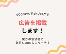 5000PV/月のブログに広告を掲載します バナー/動画を掲載し、あなたのビジネスを加速させます イメージ1