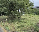 元森林組合×宅建士！空き地の草刈り代行します 立ち会い不要！不動産と山のプロが空き地などの草を刈ります イメージ10