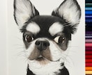ペットの絵描きます 〜 色鉛筆で描くわんちゃん、ねこちゃんの似顔絵 〜 イメージ4