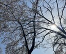 気持ちを楽にさせてあげます 普段溜めているストレスなどたくさん愚痴を吐いて心に余裕を！ イメージ1
