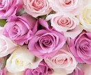 忘れられない想い、復縁、復活愛…承ります 復縁のお悩み…別れてしまった相手と、もう一度やり直したい。 イメージ1